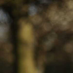 DSC3331 NF-F 100%
Bokeh bei Fokusdistanz 2m, Blende 2.8 und Brennweite 70mm
100% Crop
