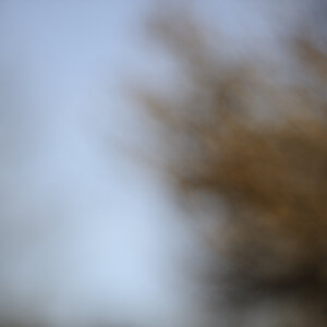DSC3361 NF-F
Bokeh bei Fokusdistanz 2m, Blende 2.8 und Brennweite 200mm