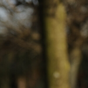 DSC3391 NF F 100%
Bokeh bei Fokusdistanz 2m, Blende 5.6 und Brennweite 70mm
100% Crop