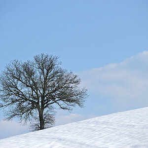 einsam im Winter