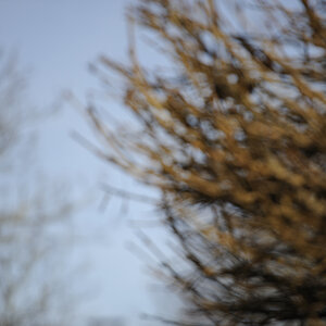 DSC3376 NF-F
Bokeh bei Fokusdistanz 10m, Blende 2.8 und Brennweite 200mm