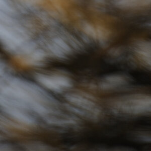DSC3376 NF-F 100%
Bokeh bei Fokusdistanz 10m, Blende 5.6 und Brennweite 200mm
100%-Crop