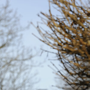 DSC3461 NF-F
2.0/200mm VR
Bokeh bei Fokusdistanz 8,41m und Blende 5.6