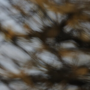 DSC3461 NF-F 100%
2.0/200mm VR
Bokeh bei Fokusdistanz 8,41m und Blende 5.6 
100% Crop