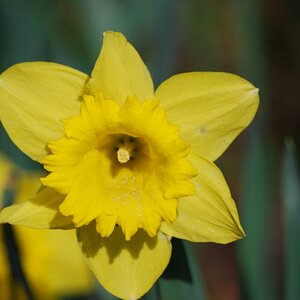 Frühling 2010 010