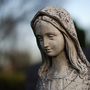 AF-S 50mm 1.4G
DSC2168