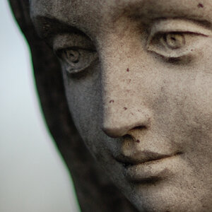 100% Crop AF-S 50mm 1.4G
DSC2168