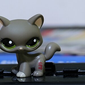 K100229aGreyCat
