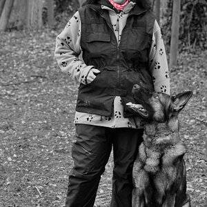 Alex und Queru bearbeitet sw forum