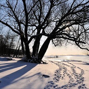acomp winter rissen 0454