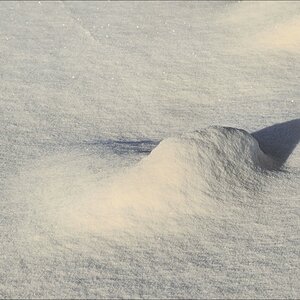 acomp winter rissen 0514