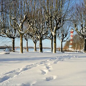 acomp winter rissen 0644