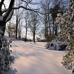 acomp winter rissen 0803
