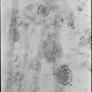 Neg2010 209