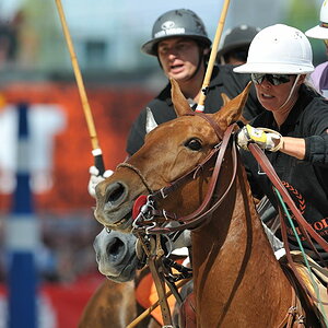 10 20100425 145840 airport polo 01