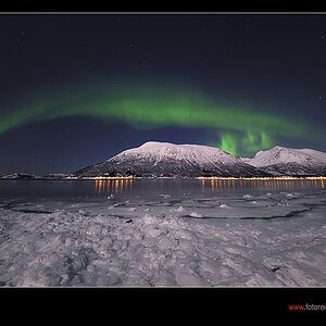 Nordlicht über dem Fjord