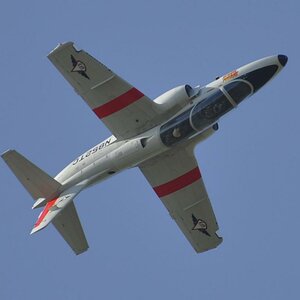 Rückenflug