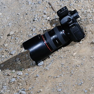 DSC 9730 ccam