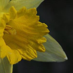 DSC3770 NF F