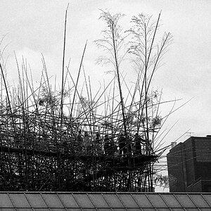 New York DSC4452swkl