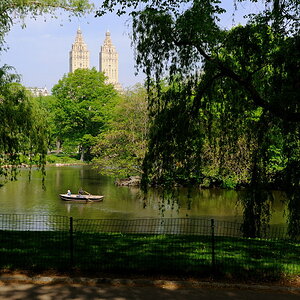 New York DSC4440kl