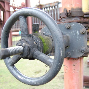 DSC 1278