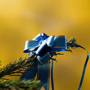 29. Dezember 2009 DSC 0326