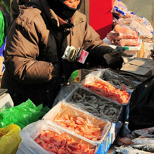 Markt in Huanan
Arbeiten in der Tiefkühltruhe ...
(9803)