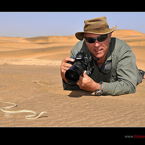 Schlange fotografieren