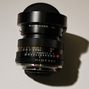 LEICA Elmarit R 2,8 35 mm (6)