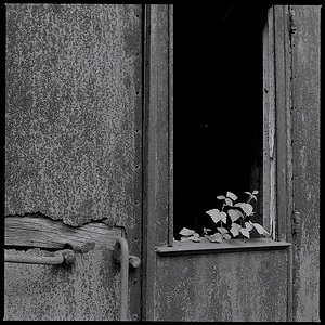 Eisenbahnmuseum Bochum-Dahlhausen
Hasselblad 500cm, Planar C 80/2,8
Neopan 400 / Emofin