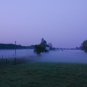 Essenberger Bruch morgens um 06:00h