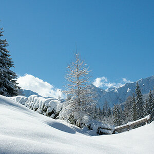 Winterlandschaft