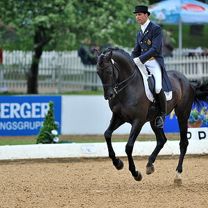 05 pferd internatio