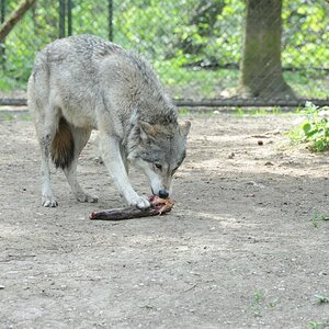 Mahlzeit!