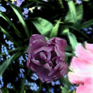 DSCF0134