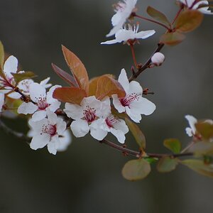 DSC 1707