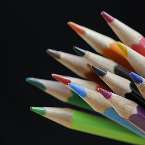 Bunt Standart+4 NX2