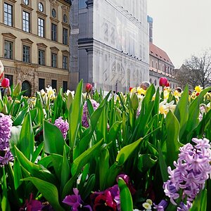 DSC 0078 900