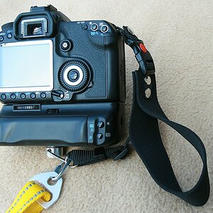 comp IMG 3318