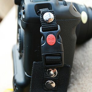 comp IMG 3316