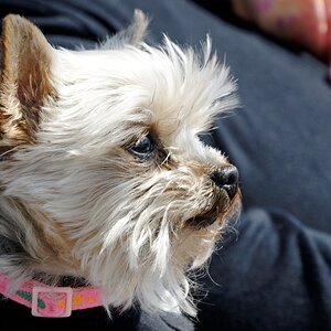emmie im profil