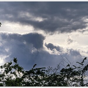DSC6380 nff