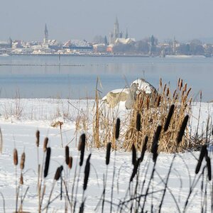 Konstanzer Bucht