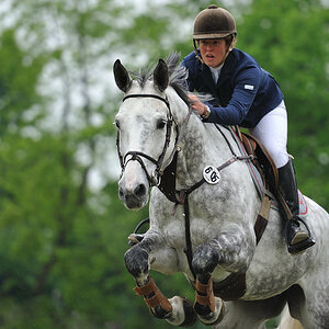 20100516 110836 pferd internatio