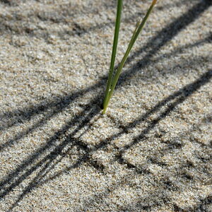 mit Nikon D70S