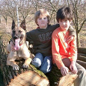 Meine 2 Jungs und meine Ginger vom Drachenherz