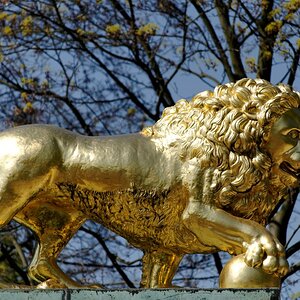 image015