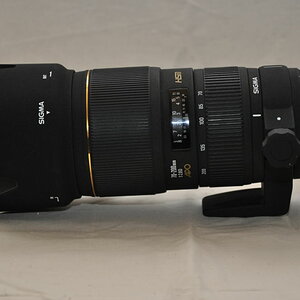 Sigma 70-200mm F 2,8 APO EX von Konijnenberg in Den Ham