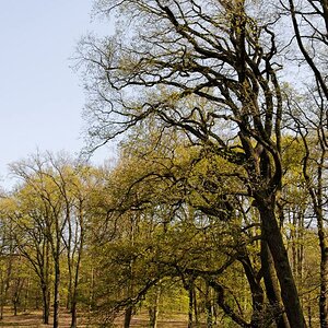 image090